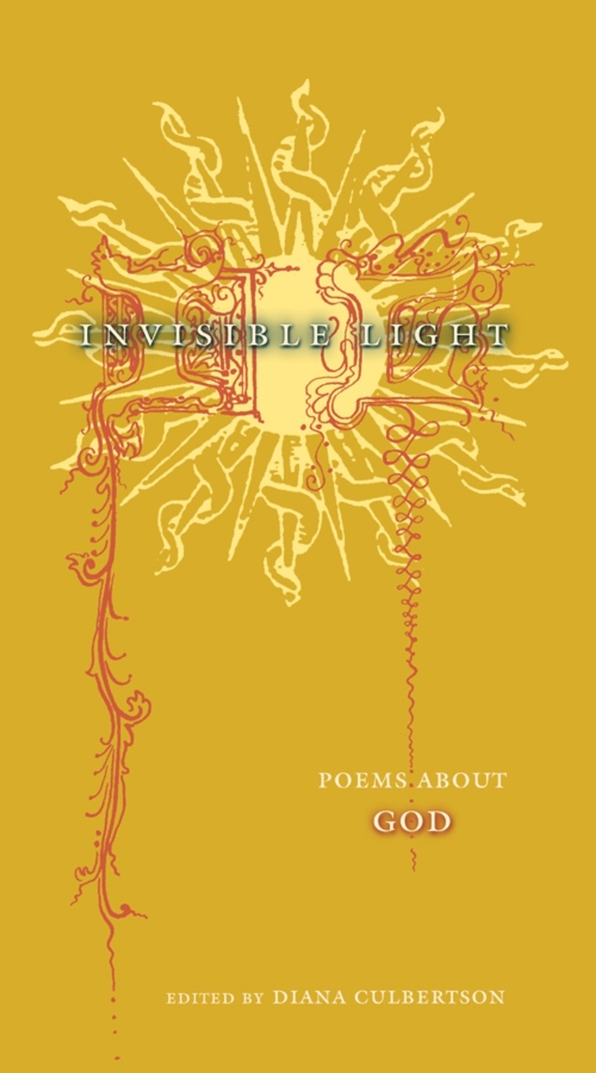 Cover image for Invisible Light ISBN 9780231225984