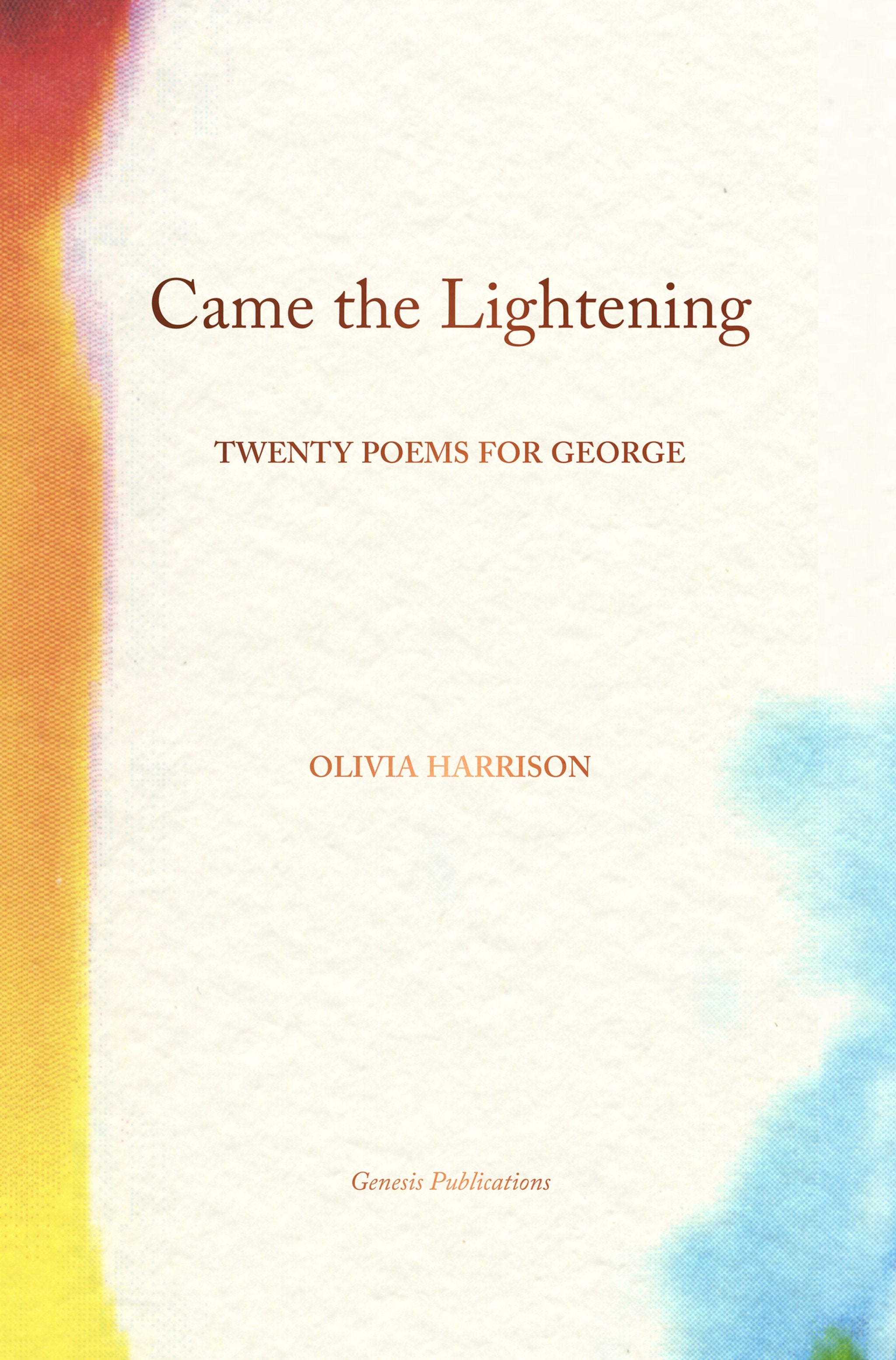 Cover image for Came the Lightening ISBN 9781905662739