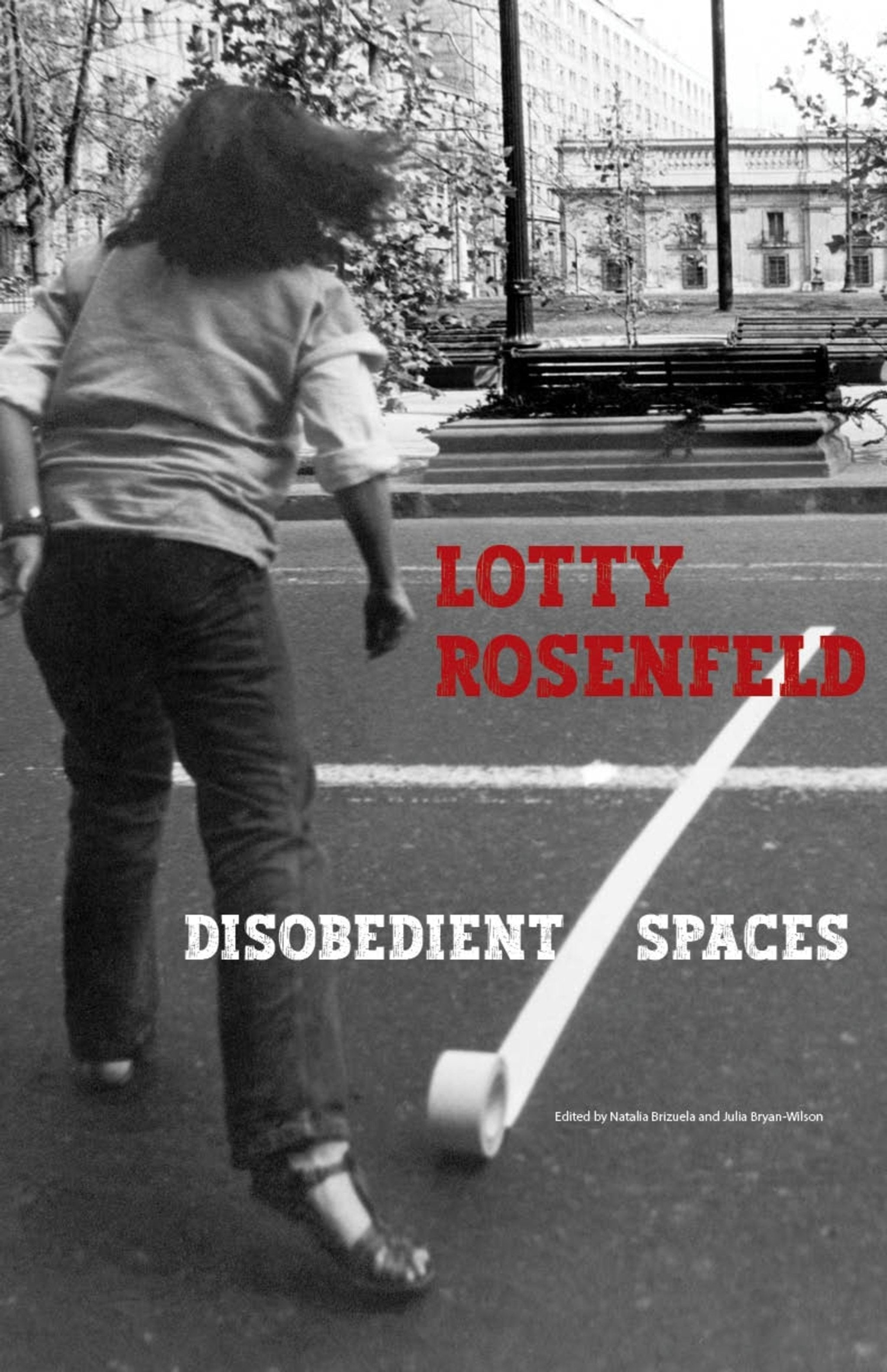 Cover image for Lotty Rosenfeld ISBN 9781884919411