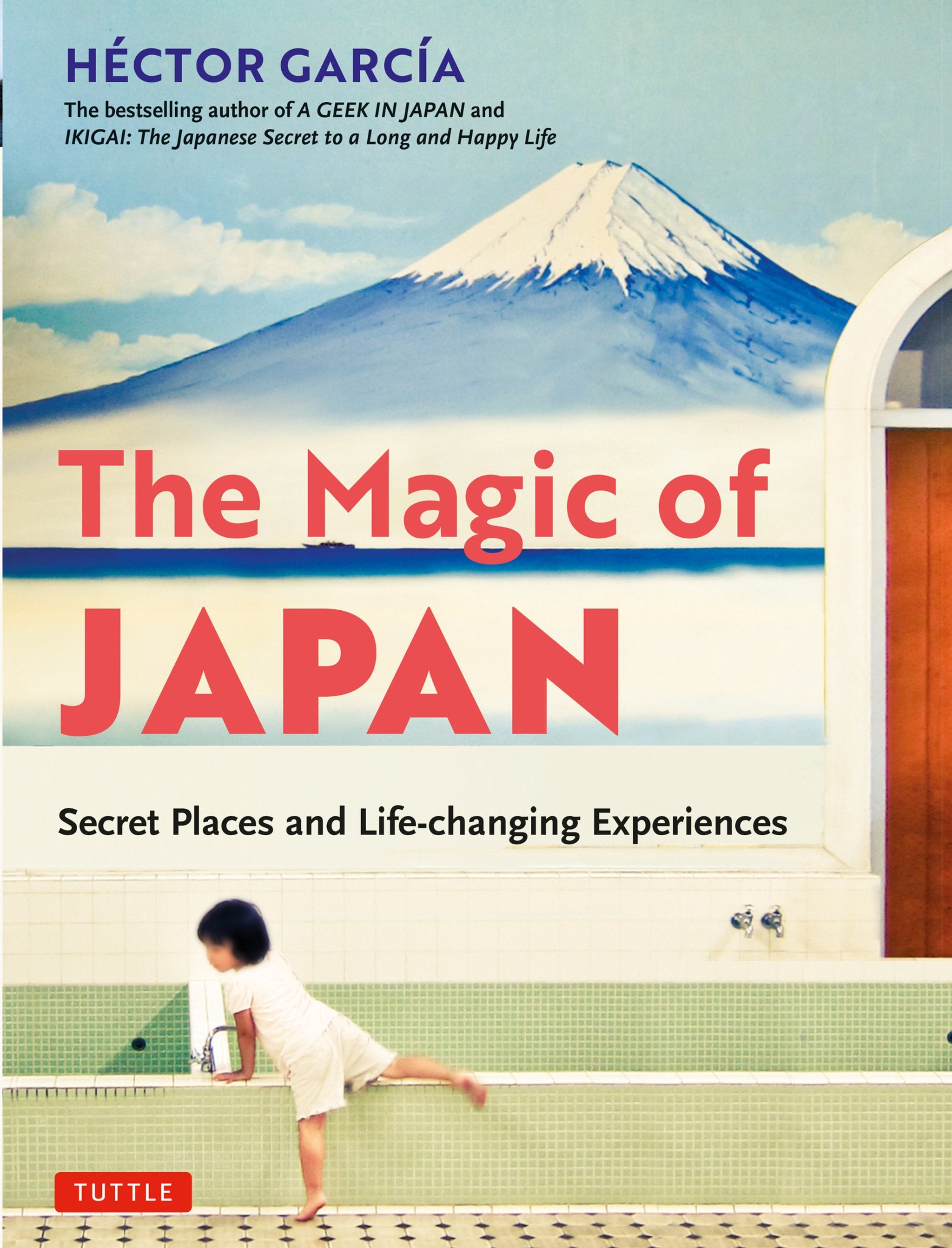 Cover image for The Magic of Japan ISBN 9784805316528