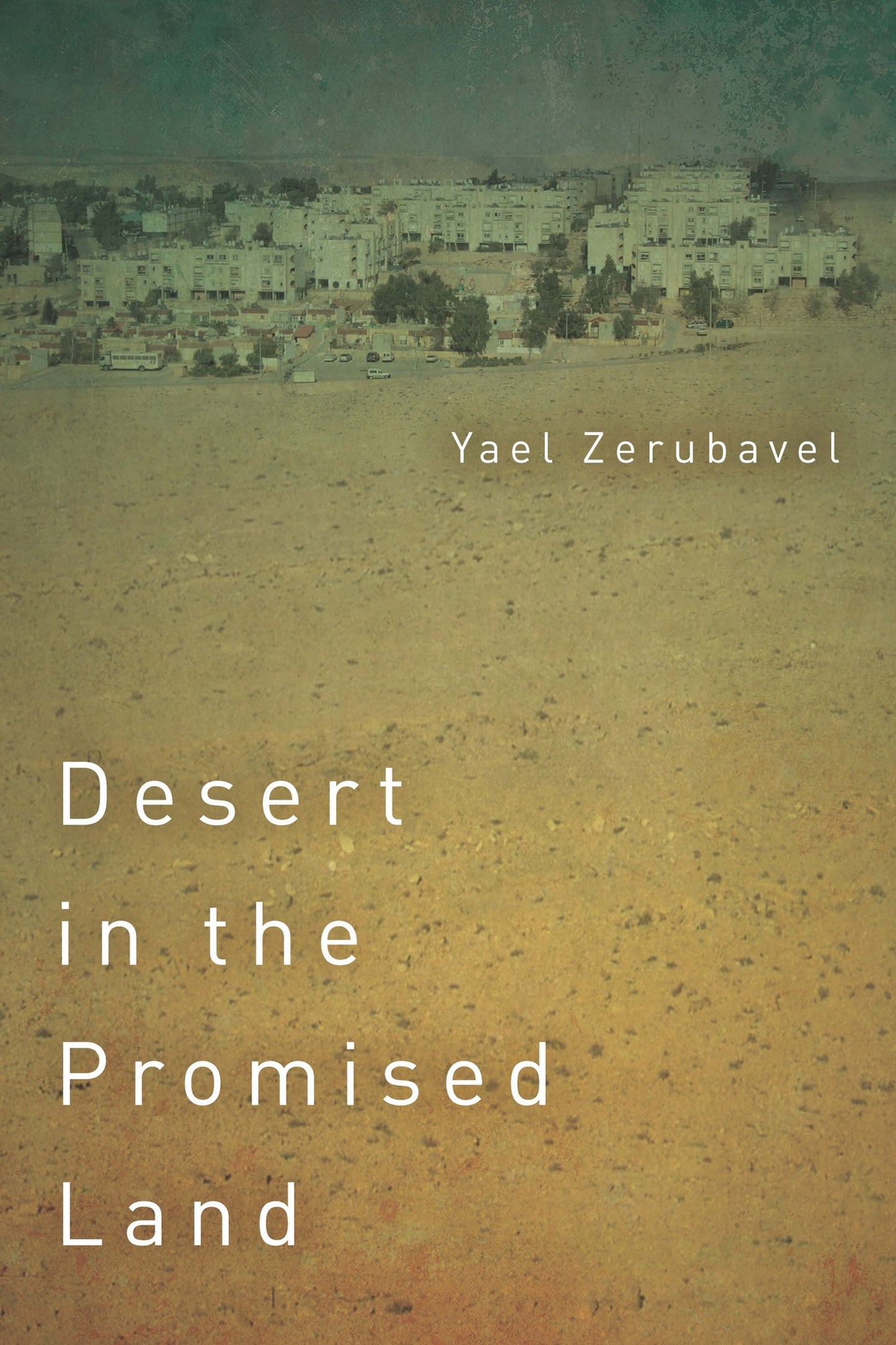 Cover image for Desert in the Promised Land ISBN 9781503607590