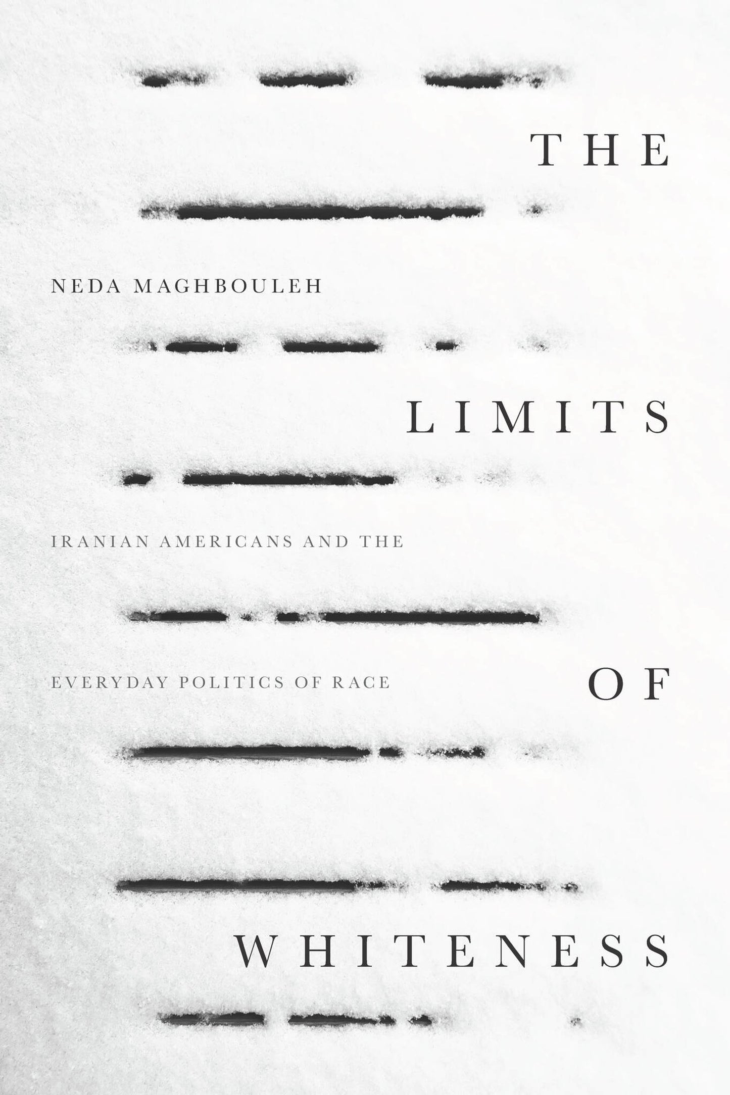 Cover image for The Limits of Whiteness ISBN 9781503603370