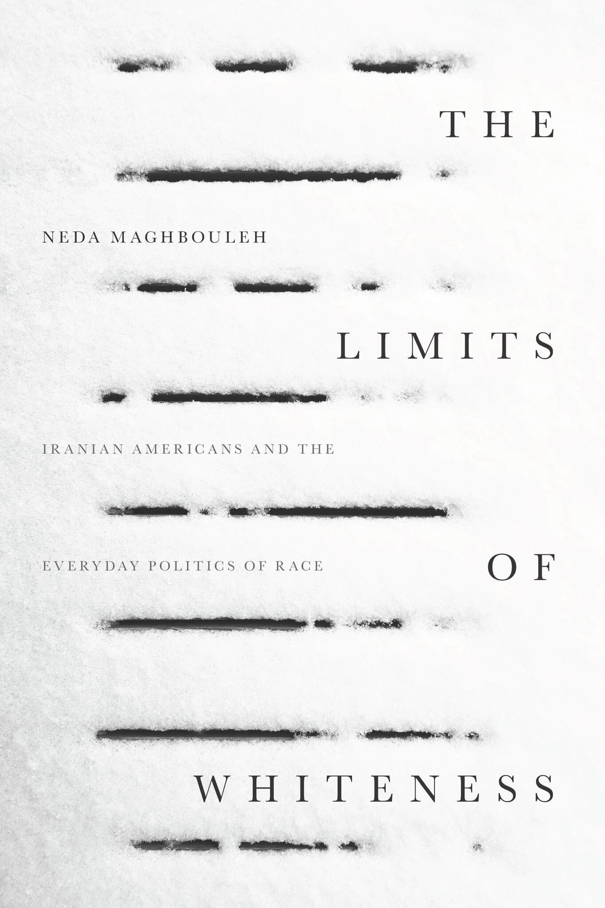 Cover image for The Limits of Whiteness ISBN 9781503603370