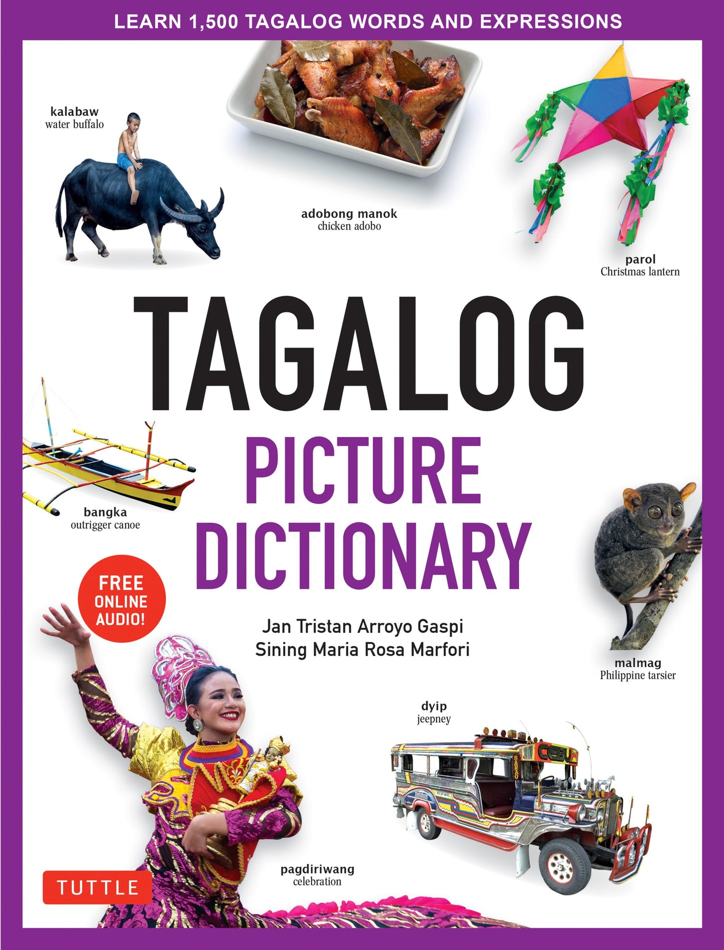 Cover image for Tagalog Picture Dictionary ISBN 9780804839150