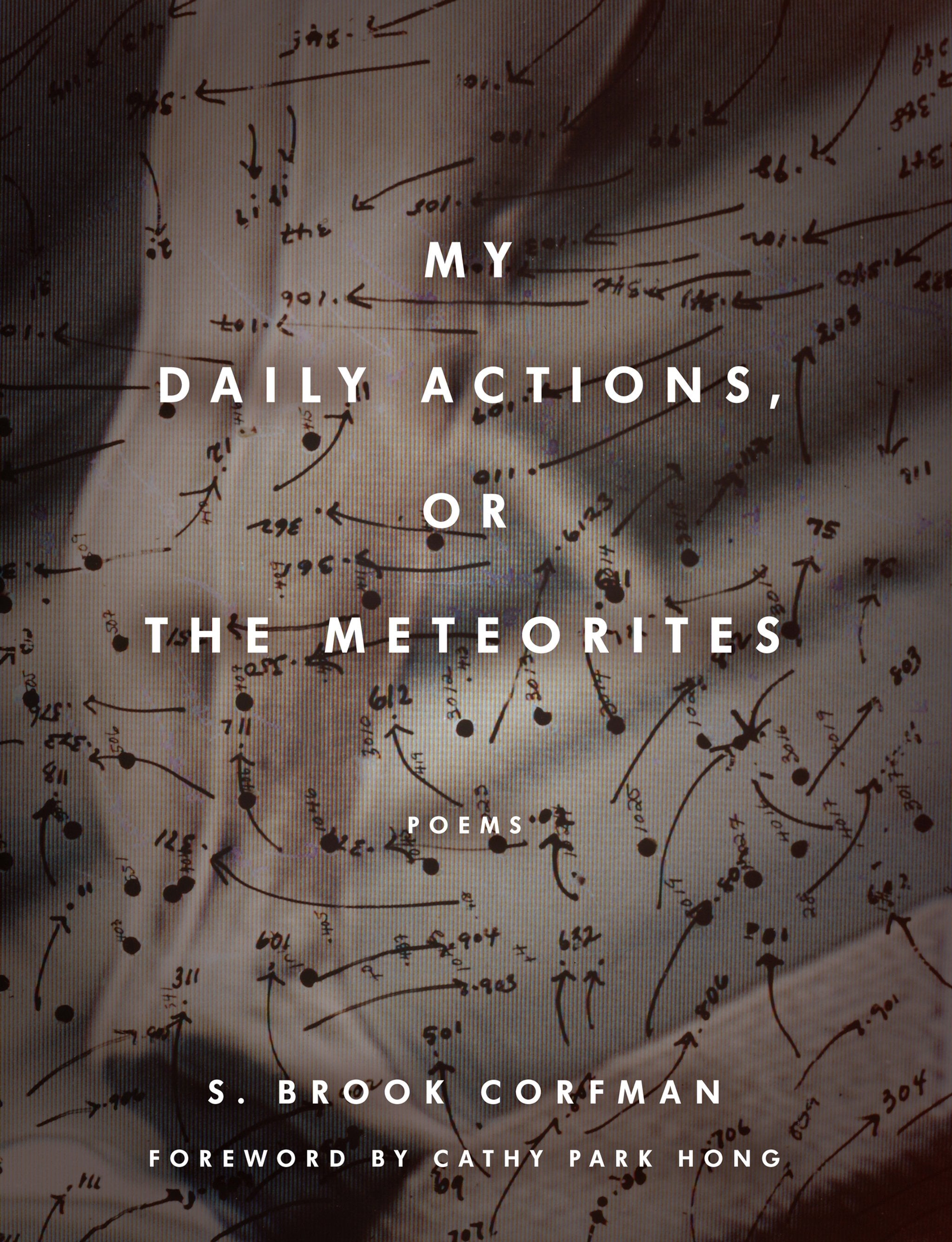 Cover image for My Daily Actions, or The Meteorites ISBN 9780823289493