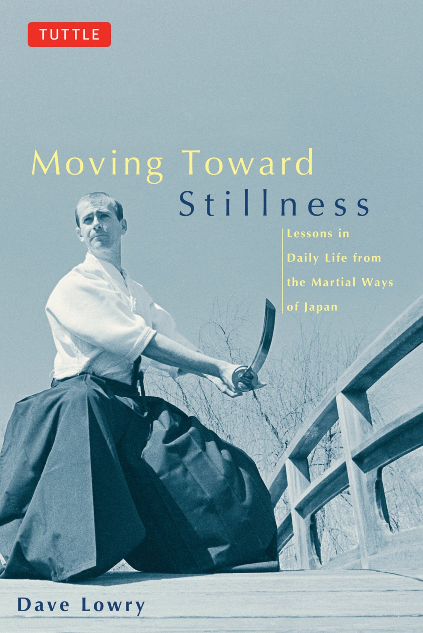 Cover image for Moving Toward Stillness ISBN 9780804831604